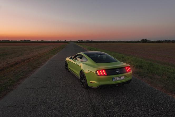 Ford Mustang GT 5.0 V8 55 Edition