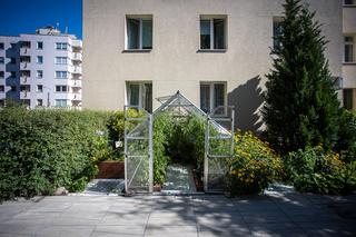 Warszawa w Kwiatach 2022