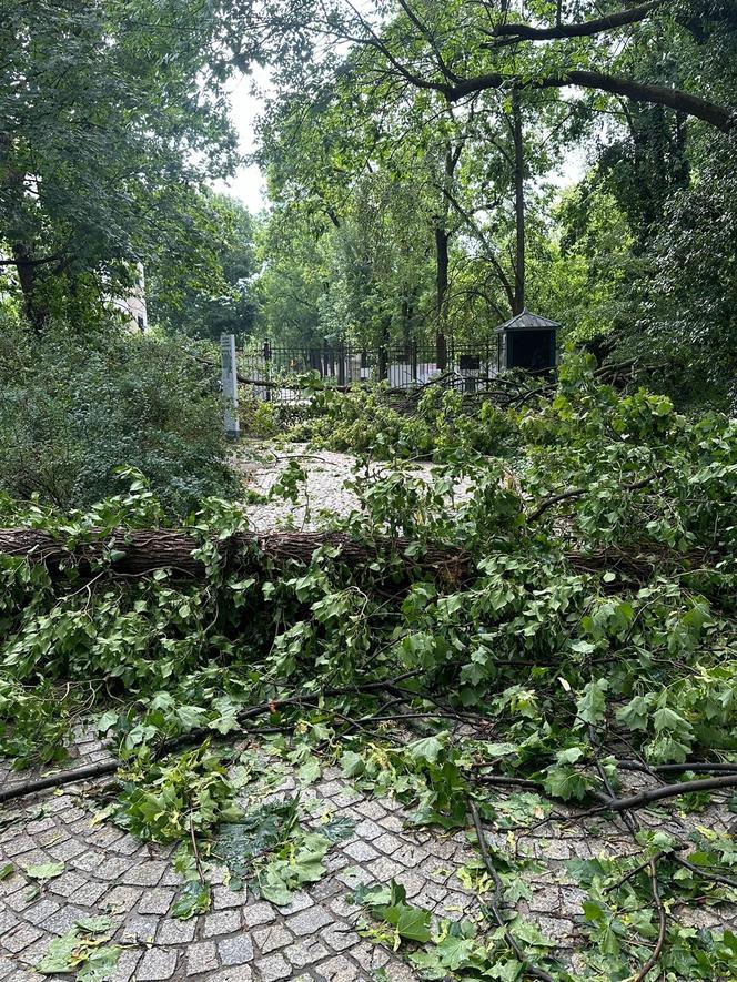 Łazienki Królewskie jednak zamknięte do odwołania