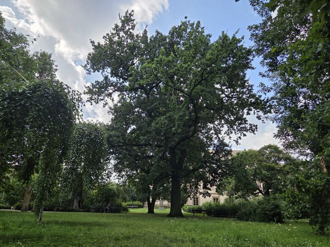 Spacer przez muzyczne serce Bydgoszczy. Park Kochanowskiego zachwyca historią i klimatem