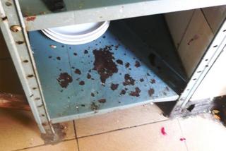 Tak nas kantują nad morzem