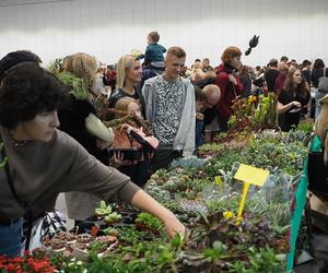 Egzotyczne zwierzęta powracają do Hali Expo! Zobaczycie je już w marcu