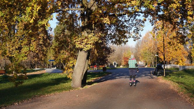 Park Ludowy w listopadowej odsłonie!