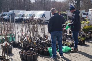 Wiosenny Kiermasz Ogrodniczy w Bydgoszczy [ZDJĘCIA]