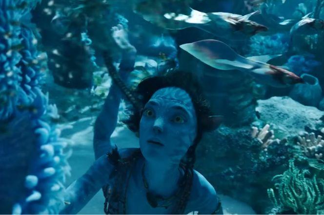 Polski akcent w filmie Avatar: Istota wody. Mało kto o tym wie! 