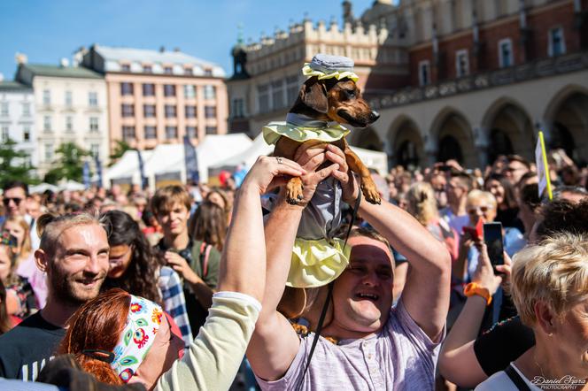 Marsz Jamników 2019 w Krakowie