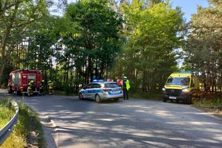 Wypadek pod Toruniem. Zakrwawiony kierowca wjechał autem w las