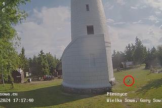 Koszmar na Wielkiej Sowie. Pies spadł z wieży widokowej i zginął na miejscu. Apel do właścicieli zwierząt 