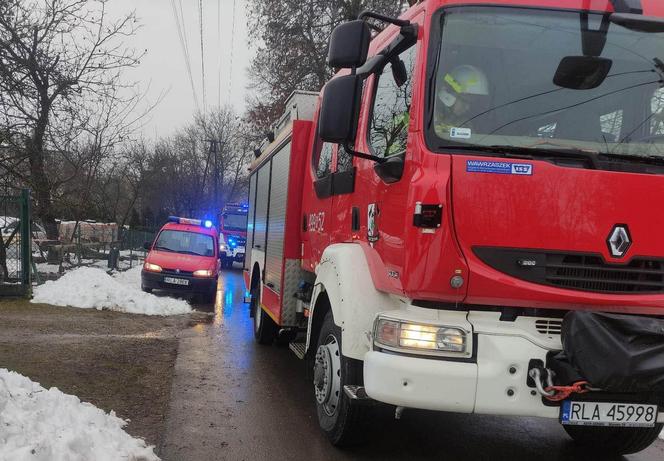 Strażacy wyciągnęli szczeniaka ze studzienki