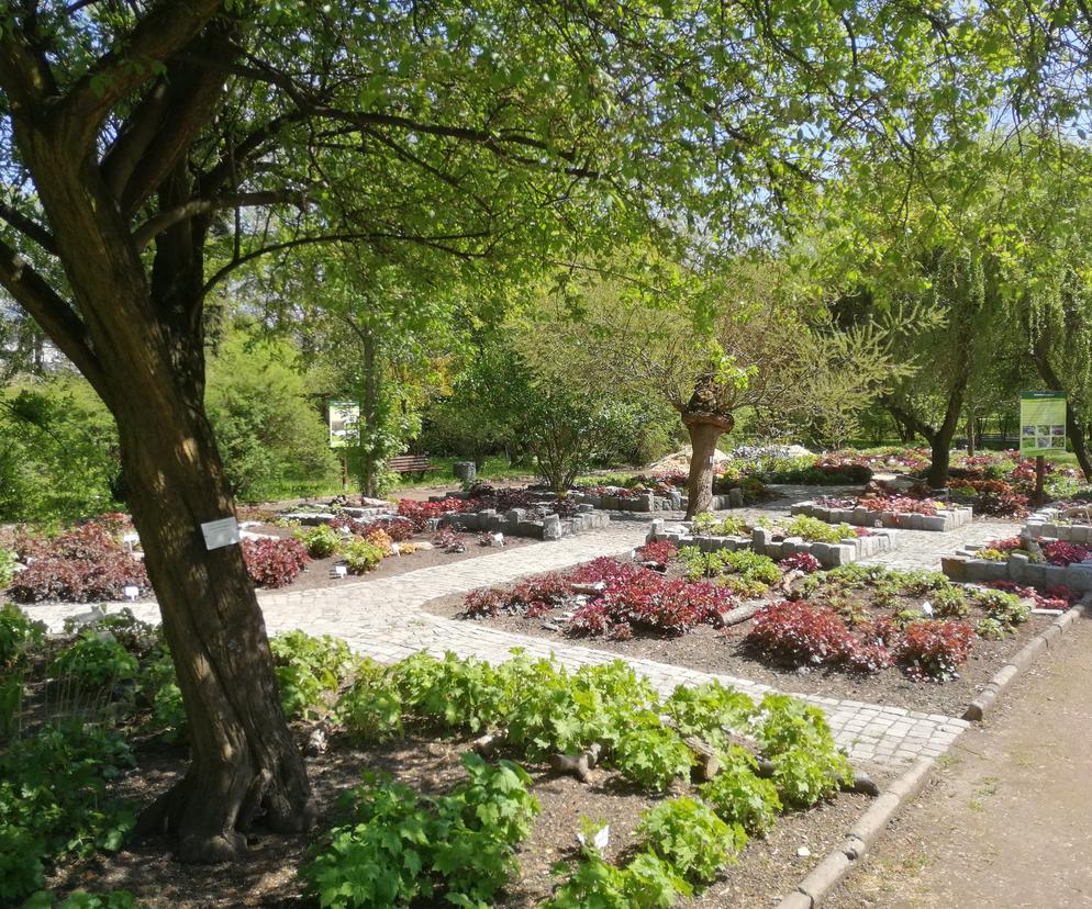 Miejski Ogród Botaniczny w Zabrzu jest już otwarty