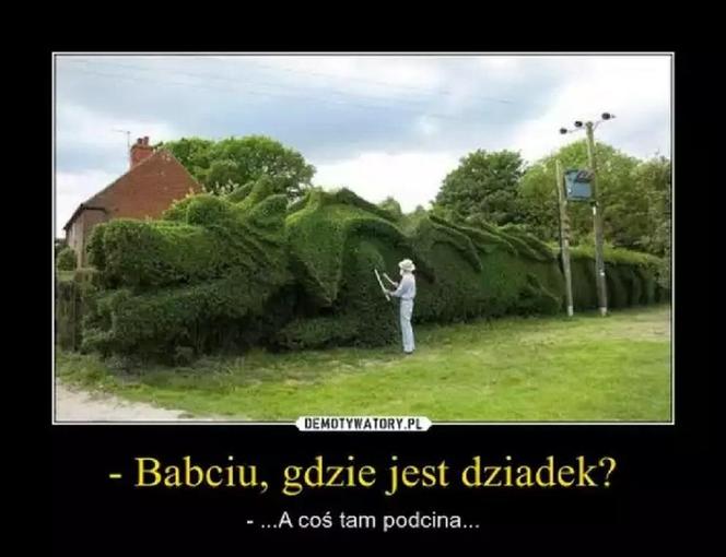 Najlepsze MEMY o babci i dziadku! Zbliża się ich święto