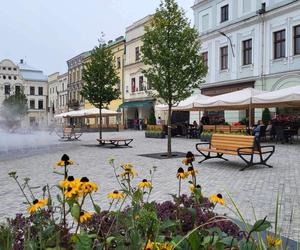 Rynek w Cieszynie po modernizacji 