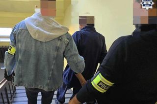 Atak w Knurowie. 69-latek ranił znajomego w parku