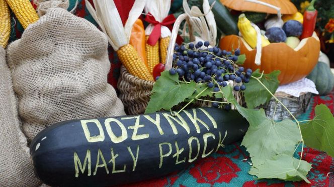 Wojewódzkie dożynki w województwie podlaskim 2025
