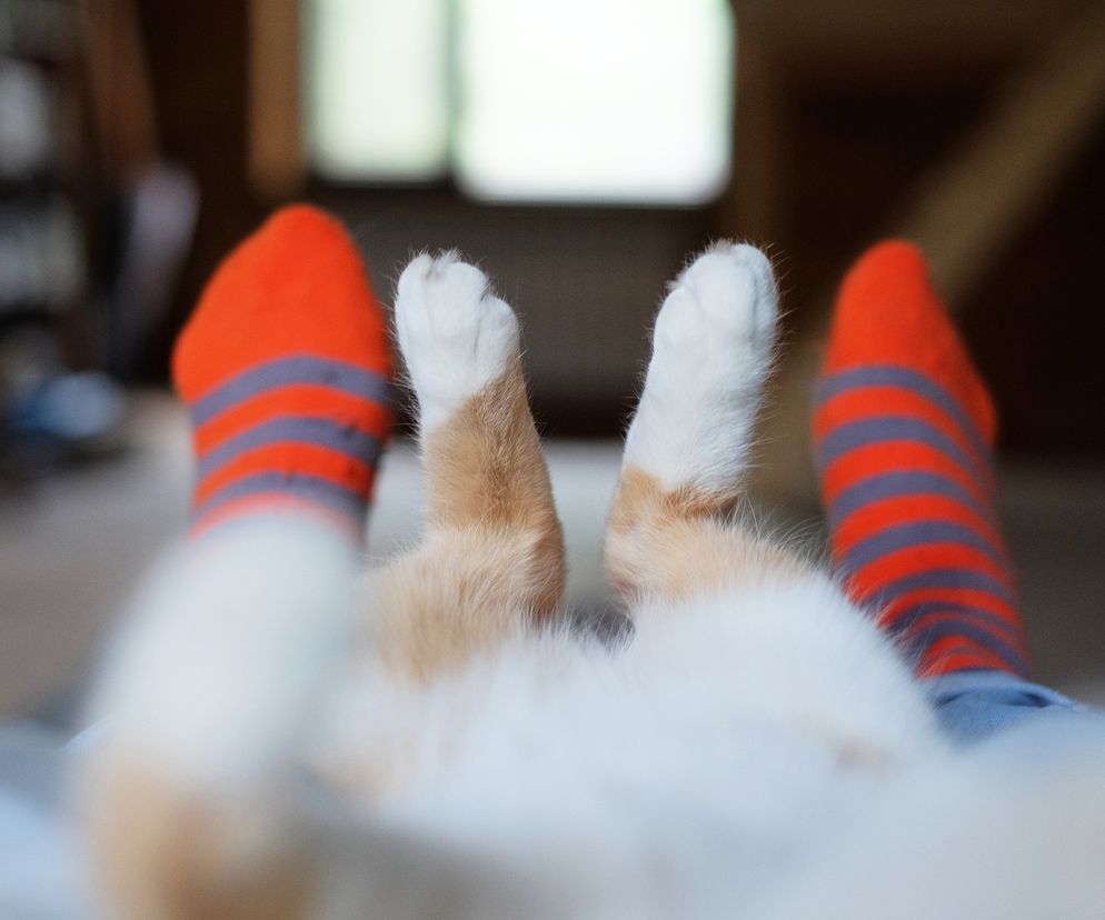 Zła wiadomość dla miłośników czworonogów. Ich towarzystwo odbija się na twoim zdrowiu