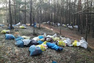 Hałda śmieci w wielkopolskim lesie