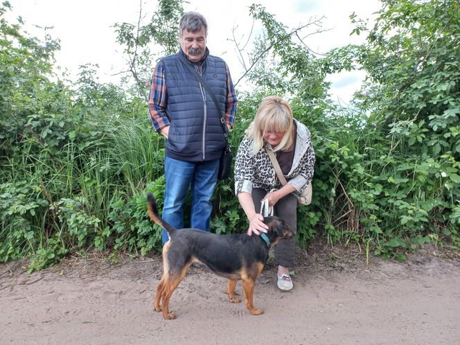 „Wszystkie psiaki nasze są” w schronisku w Henrykowie koło Leszna