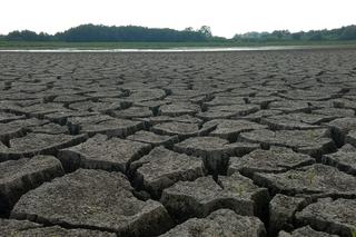 Wyschnięte jezioro w Skrzatuszu pod Piłą