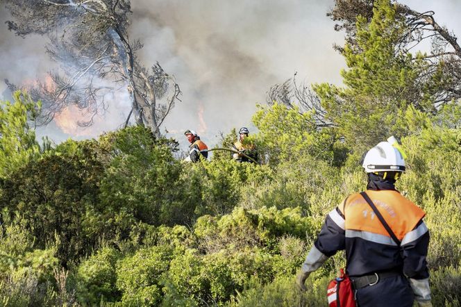 Ogromny pożar we Francji! Spłonął obszar wielki jak Paryż
