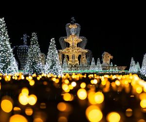 Królewski Ogród Światła w Wilanowie