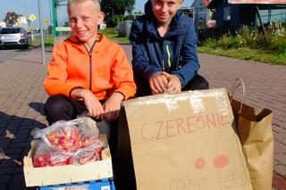 Bracia z Łęcznej sprzedają czereśnie