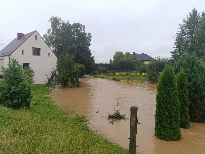 Zagrożenie powodziowe. Głuchołazy. Woda przelała się przez wały. Zalewa miasto