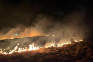 9 hektarów w ogniu! Zagrożona była farma
