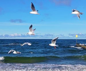 Kołobrzeg po sezonie