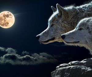 Wilczy Księżyc 2021 ROZBŁYŚNIE na nocnym niebie. Kiedy go zobaczymy? Jak go obserwować?