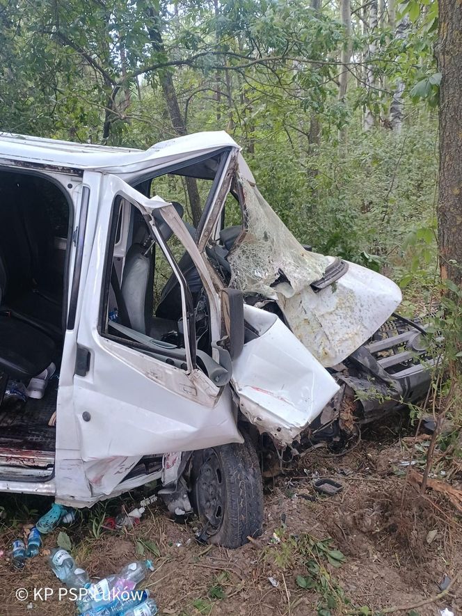 Bus rozbił się na drzewie. Wielu poszkodowanych, śmigłowiec LPR w akcji