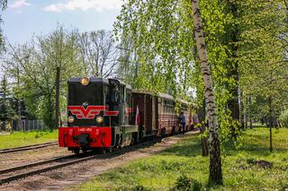 Warszawska podróż w czasie. Kultowe „Parówki”, Ikarusy i Jelcze wracają na trasy