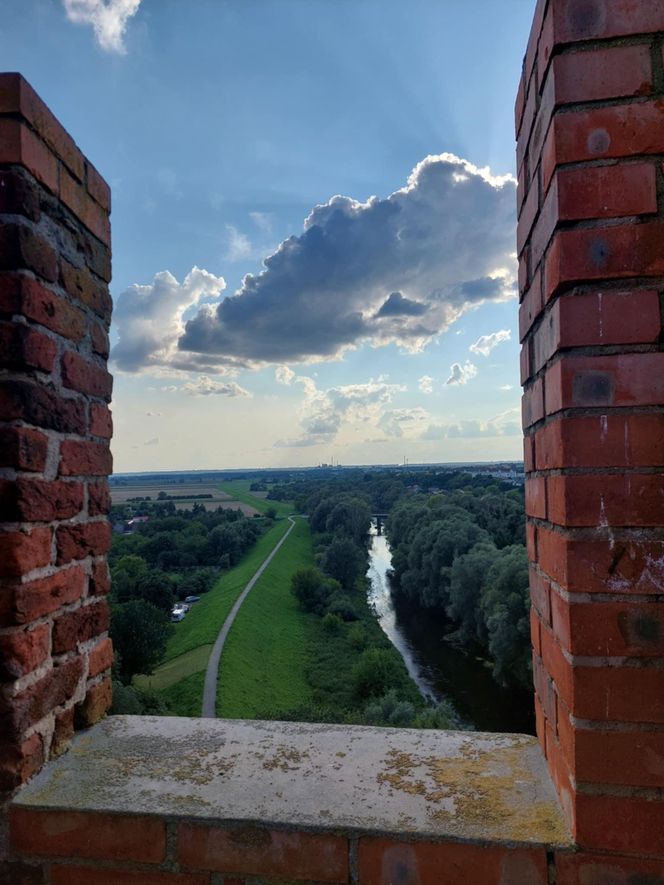 Przez to miasto Kujawsko-Pomorskiem nie da się przejść niezauważonym. Na turystów patrzy ponad 200 par kamiennych oczu. Wszędzie są twarze!