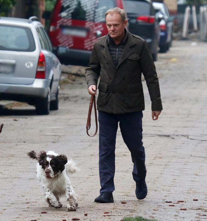 Donald Tusk na spacerze z Portosem