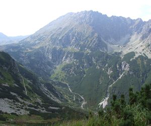 Dolina Roztoki w Tatrach