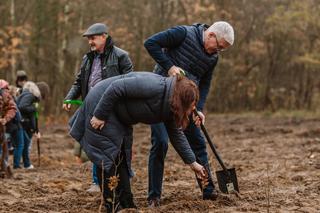 Rozpoczęto sadzenie lasu w miejscu planowanego pola golfowego