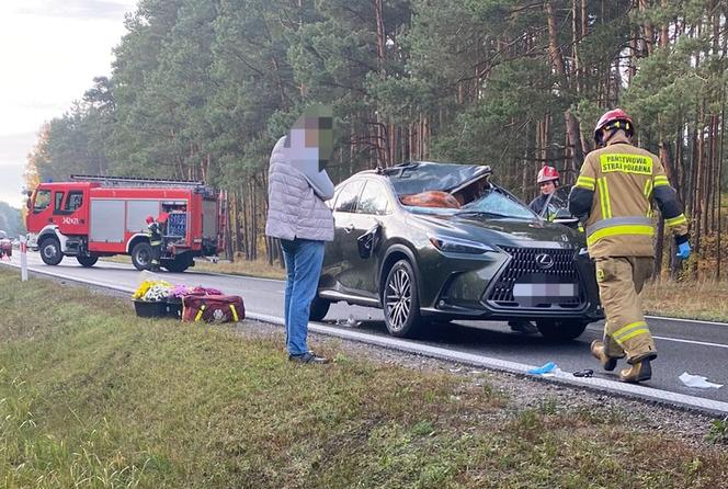 Poważny wypadek z udziałem jelenia pod Toruniem! W internecie rozgorzała burza [ZDJĘCIA]