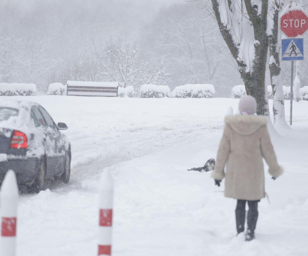 Kiedy spadnie śnieg w Polsce 2023? Jest dokładna data uderzenia bestii ze wschodu!