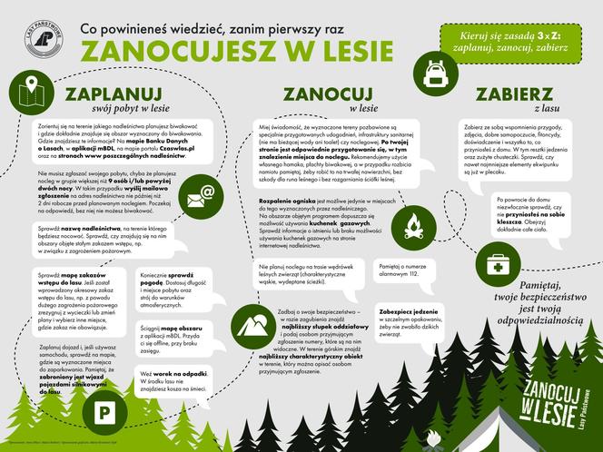 Zanocuj w lesie