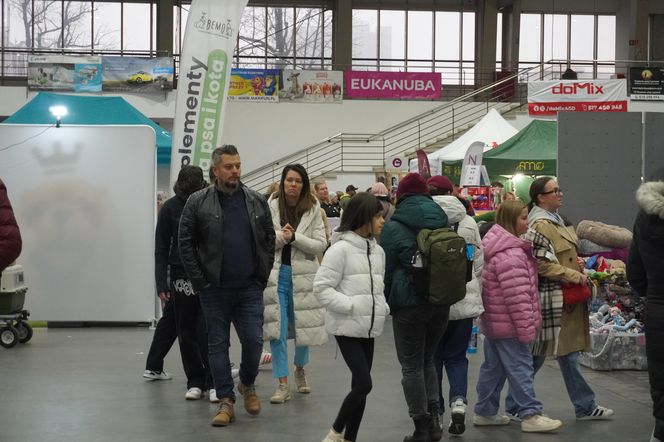 Międzynarodowa Wystawa Psów Rasowych w Poznaniu