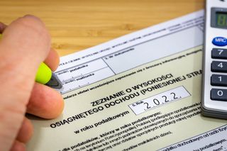 Komu przekazać 1,5 proc. podatku? Łódzkie organizacje pożytku publicznego czekają na wsparcie