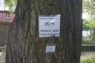 Półki bookcrossingowe w Ogrodzie Botanicznym UKW