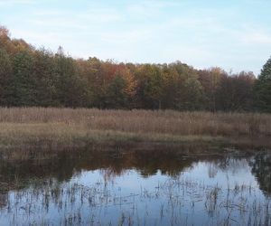 Idealne miejsce na jesienny spacer w Śląskiem - Kamień 