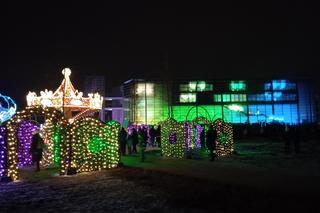 X Królewski Festiwal Światła