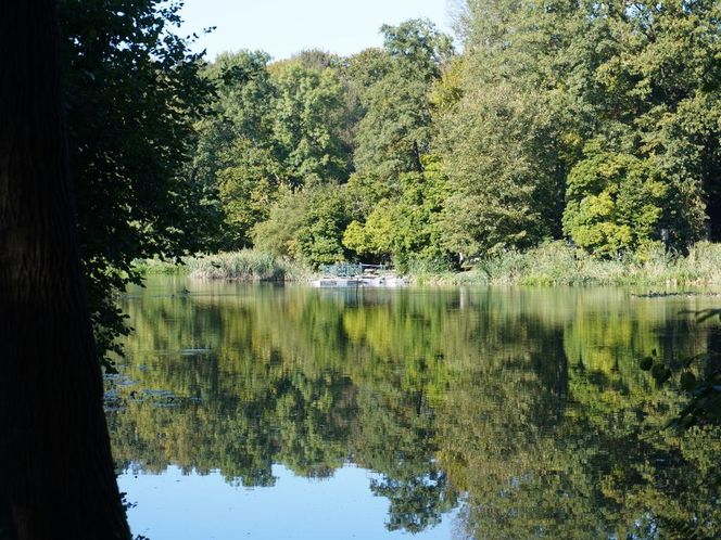 tłumy spokojnie spacerujących spacerowiczów w Pszczynie ZDJĘCIA