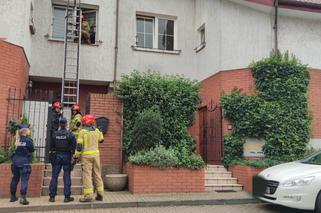 Na ratunek kota było za późno