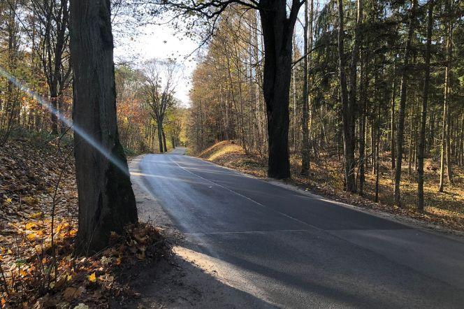 Te drogi z powiatu olsztyńskiego zostaną wyremontowane w 2023 roku