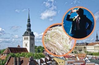 Estonia, jakiej nie znacie. 10 ciekawostek o kraju kiszonej kapusty i Tommy'ego Casha 