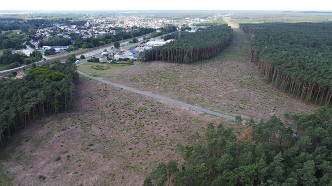 Droga ekspresowa S10 łącząca Bydgoszcz i Toruń coraz bliżej. Jest decyzja wojewody kujawsko-pomorskiego w sprawie budowy