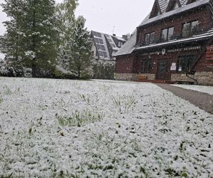 Potężne opady śniegu w Zakopanem! Jest źle, a będzie jeszcze gorzej. Trudne warunki na drogach [GALRIA, WIDEO]