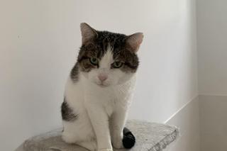 Yoko i Dionizy czekają na dom w COZ w Grudziądzu